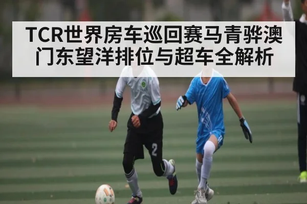 TCR世界房车巡回赛马青骅澳门东望洋排位与超车全解析（ng28）