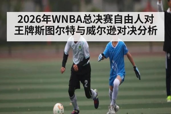 2026年WNBA总决赛自由人对王牌斯图尔特与威尔逊对决分析（ng28）